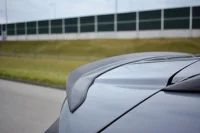 Fiat Tipo Maxton Hækspoiler Splitter Extension