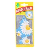 Wunderbaum - Daisy Flower